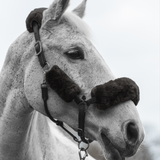 MERINO HEAD COLLAR SET