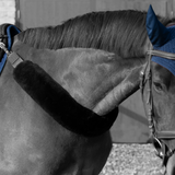 ADJUSTABLE BREAST GUARD COVER